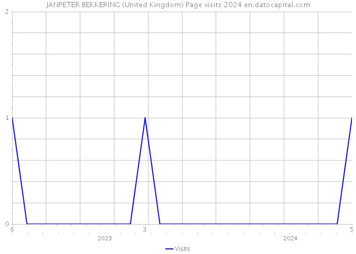 JANPETER BEKKERING (United Kingdom) Page visits 2024 