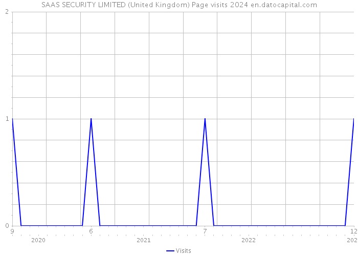 SAAS SECURITY LIMITED (United Kingdom) Page visits 2024 