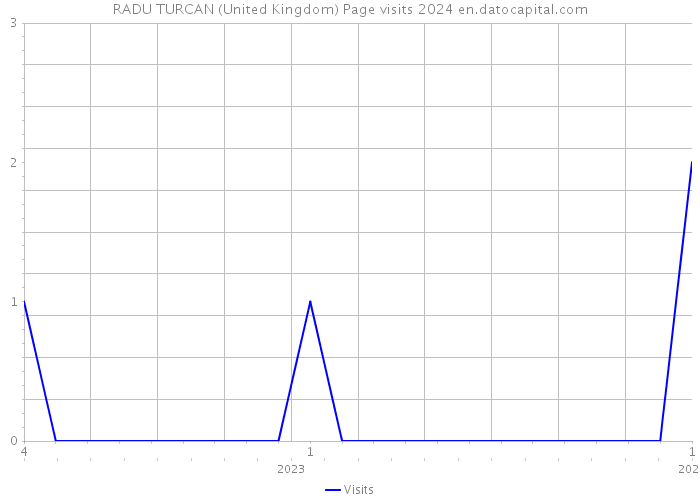 RADU TURCAN (United Kingdom) Page visits 2024 