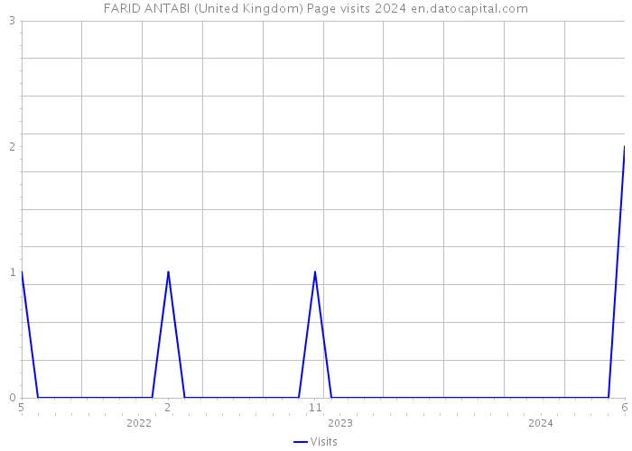 FARID ANTABI (United Kingdom) Page visits 2024 