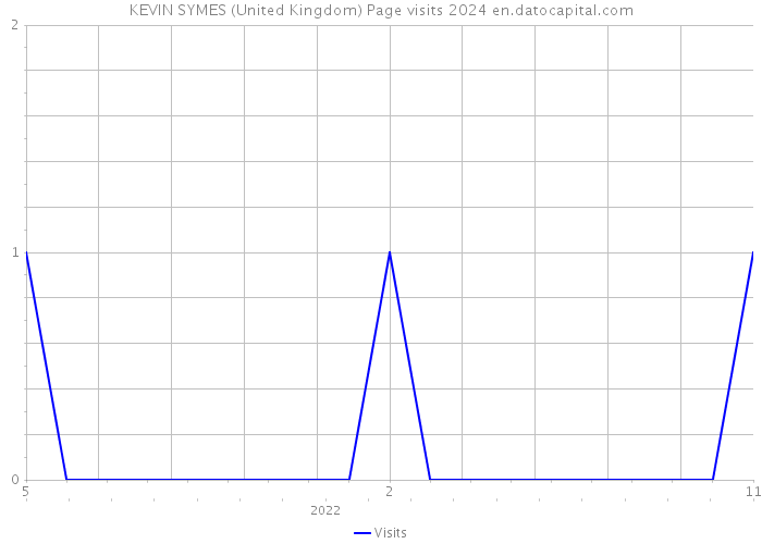 KEVIN SYMES (United Kingdom) Page visits 2024 