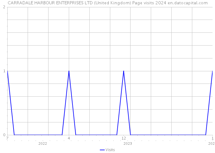 CARRADALE HARBOUR ENTERPRISES LTD (United Kingdom) Page visits 2024 