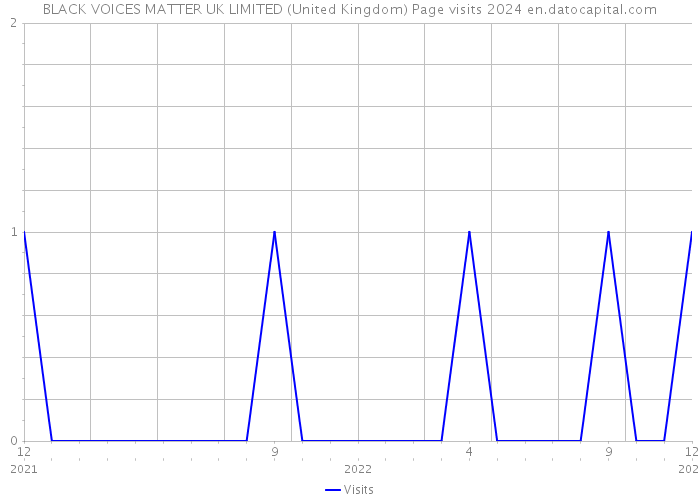 BLACK VOICES MATTER UK LIMITED (United Kingdom) Page visits 2024 
