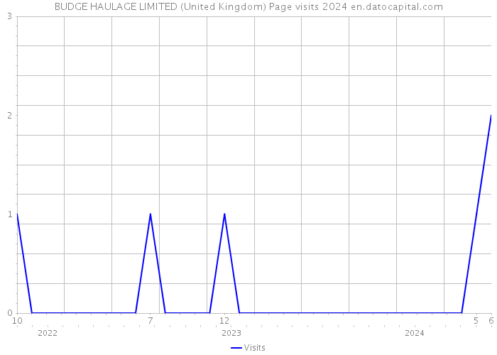 BUDGE HAULAGE LIMITED (United Kingdom) Page visits 2024 