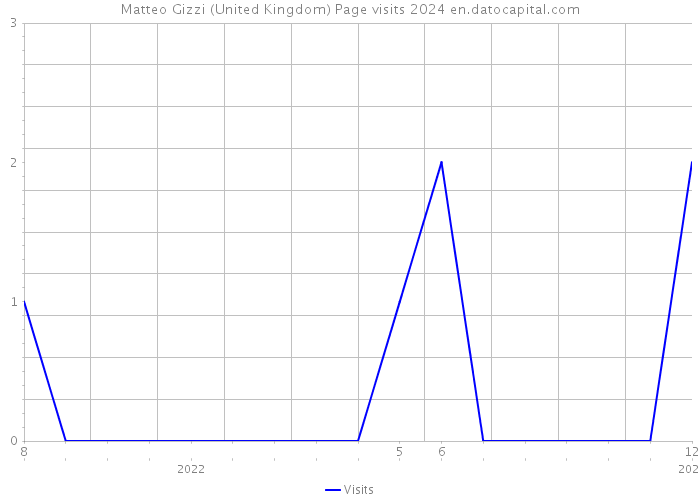 Matteo Gizzi (United Kingdom) Page visits 2024 