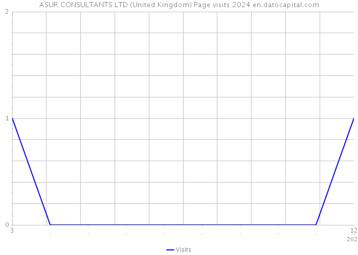 ASUR CONSULTANTS LTD (United Kingdom) Page visits 2024 