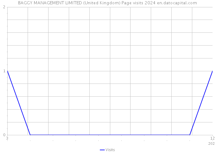 BAGGY MANAGEMENT LIMITED (United Kingdom) Page visits 2024 