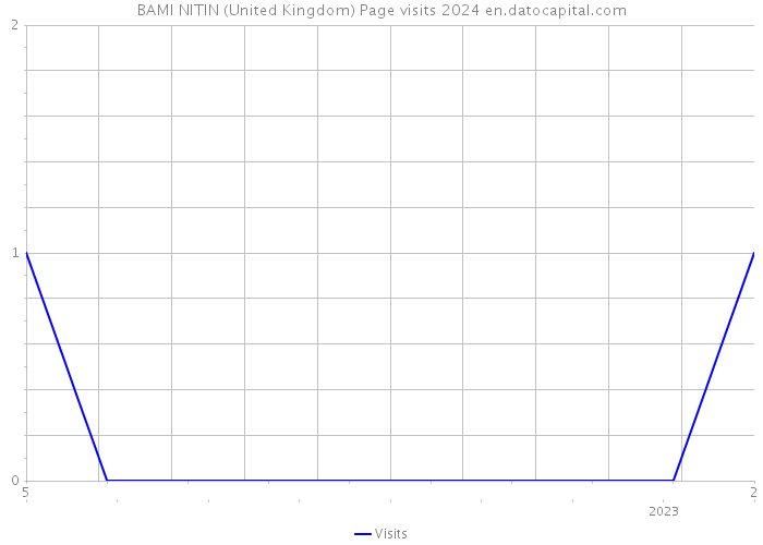 BAMI NITIN (United Kingdom) Page visits 2024 