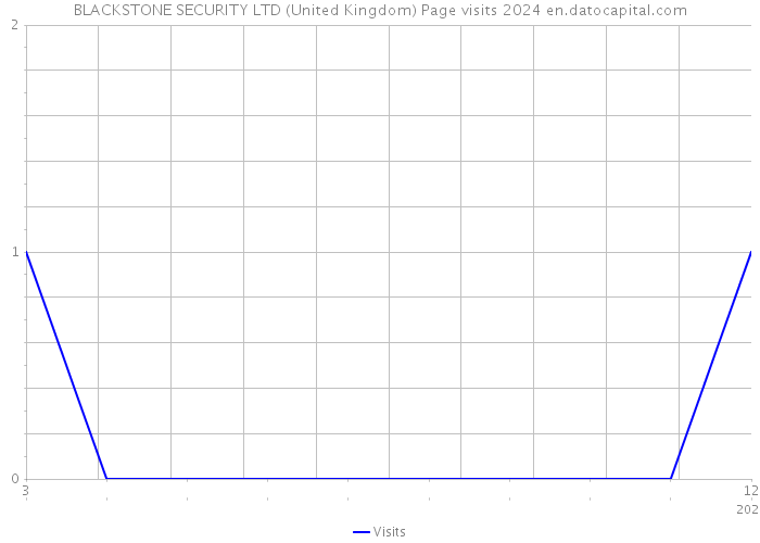 BLACKSTONE SECURITY LTD (United Kingdom) Page visits 2024 