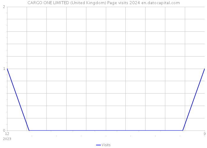 CARGO ONE LIMITED (United Kingdom) Page visits 2024 
