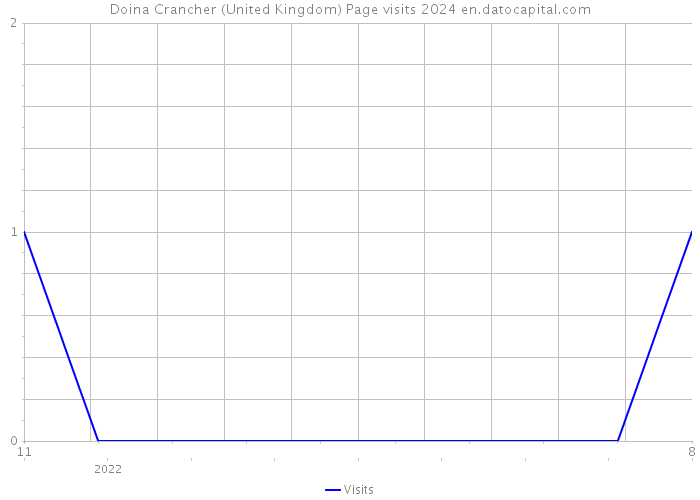 Doina Crancher (United Kingdom) Page visits 2024 