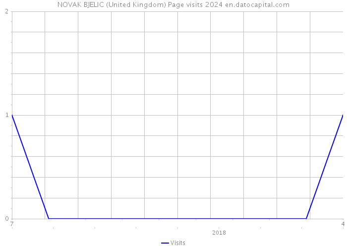 NOVAK BJELIC (United Kingdom) Page visits 2024 