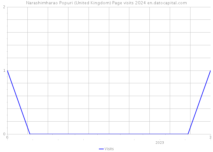Narashimharao Popuri (United Kingdom) Page visits 2024 