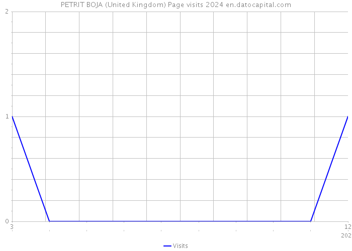 PETRIT BOJA (United Kingdom) Page visits 2024 