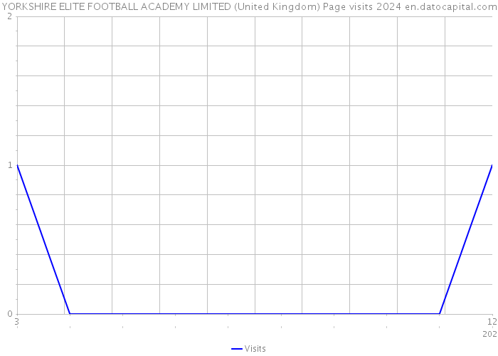YORKSHIRE ELITE FOOTBALL ACADEMY LIMITED (United Kingdom) Page visits 2024 