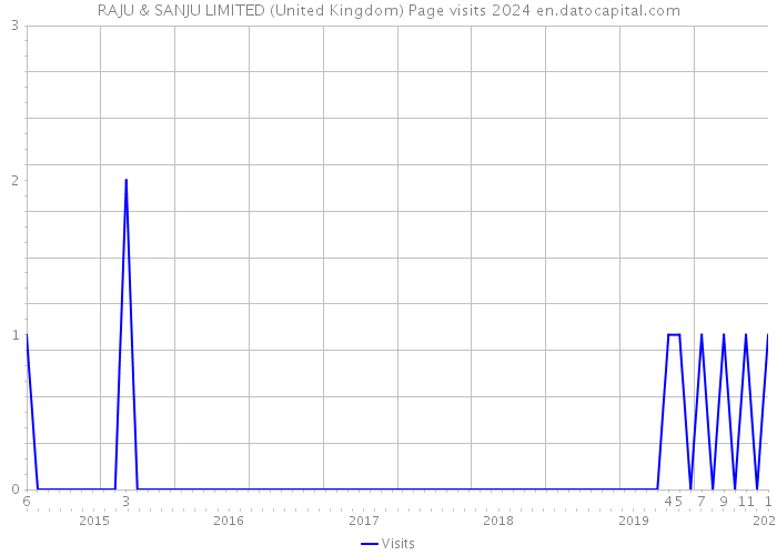 RAJU & SANJU LIMITED (United Kingdom) Page visits 2024 