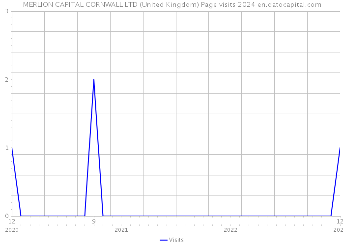 MERLION CAPITAL CORNWALL LTD (United Kingdom) Page visits 2024 