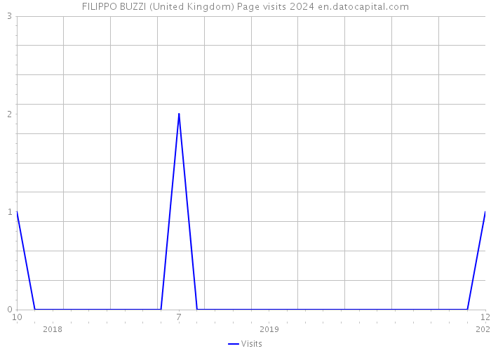 FILIPPO BUZZI (United Kingdom) Page visits 2024 