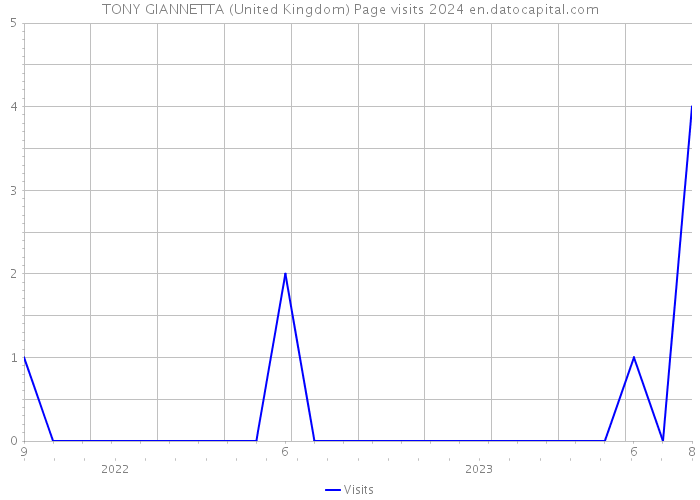 TONY GIANNETTA (United Kingdom) Page visits 2024 