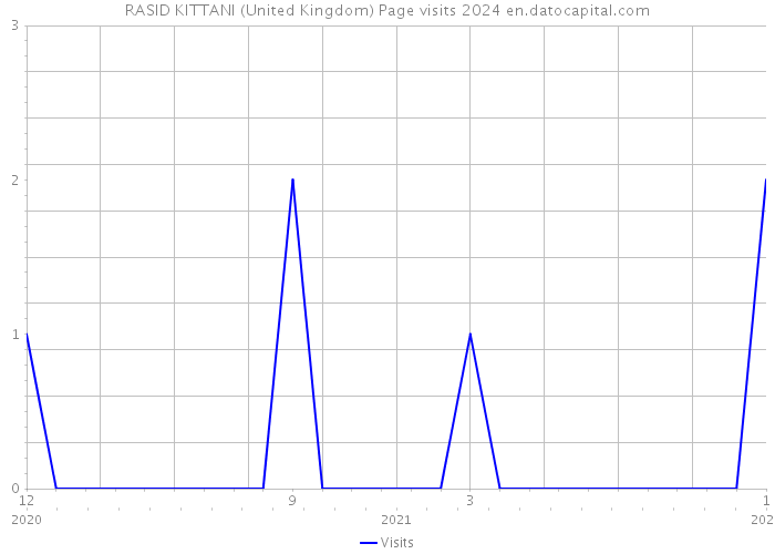 RASID KITTANI (United Kingdom) Page visits 2024 