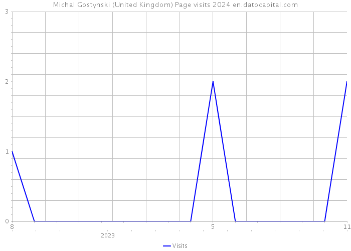 Michal Gostynski (United Kingdom) Page visits 2024 