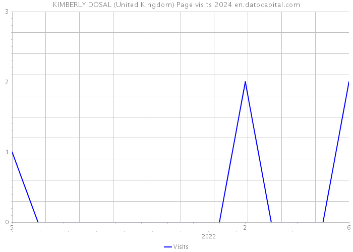 KIMBERLY DOSAL (United Kingdom) Page visits 2024 