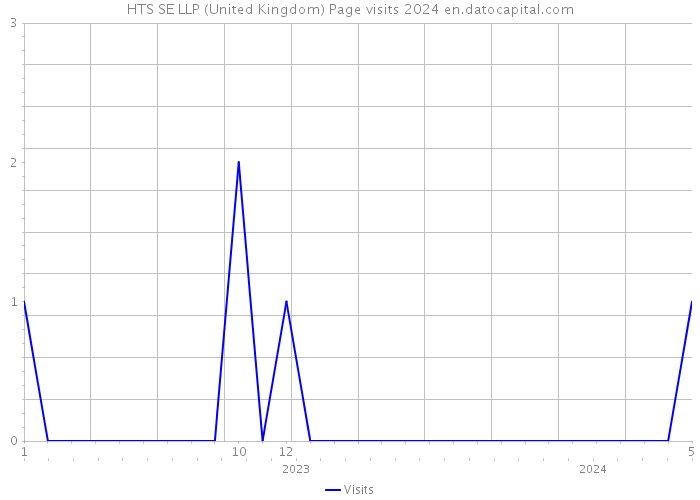 HTS SE LLP (United Kingdom) Page visits 2024 
