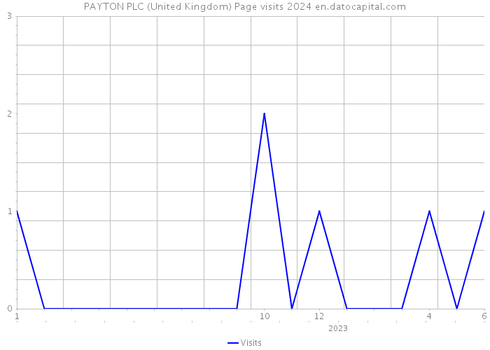 PAYTON PLC (United Kingdom) Page visits 2024 