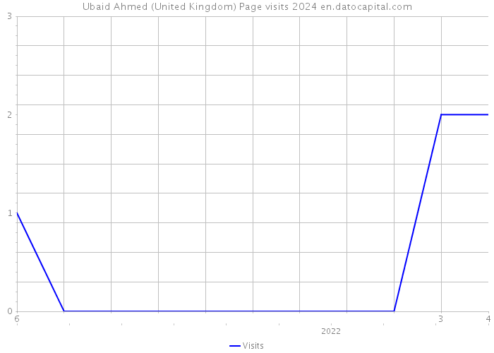 Ubaid Ahmed (United Kingdom) Page visits 2024 