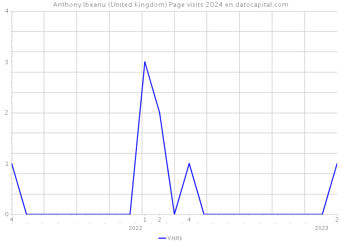 Anthony Ibeanu (United Kingdom) Page visits 2024 