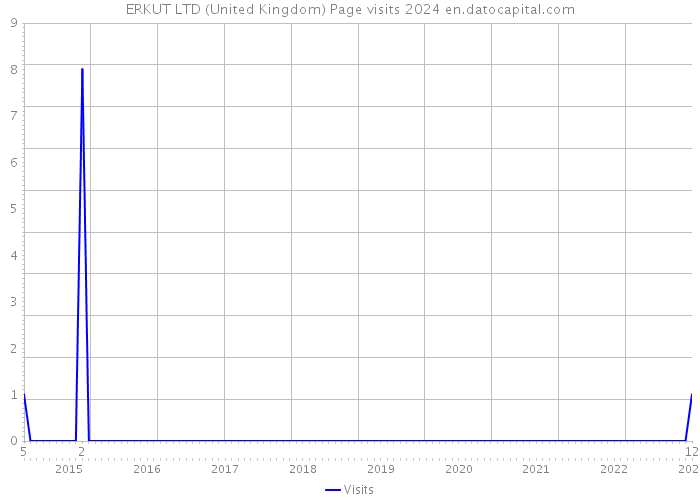 ERKUT LTD (United Kingdom) Page visits 2024 
