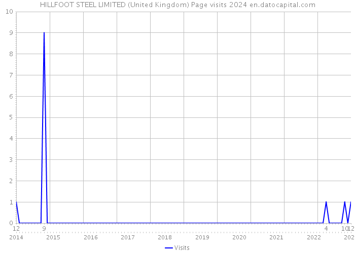 HILLFOOT STEEL LIMITED (United Kingdom) Page visits 2024 