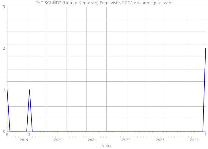 PAT BOUNDS (United Kingdom) Page visits 2024 