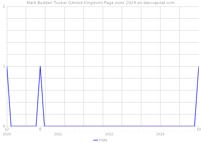 Mark Budden Tucker (United Kingdom) Page visits 2024 