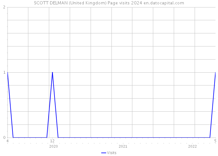 SCOTT DELMAN (United Kingdom) Page visits 2024 