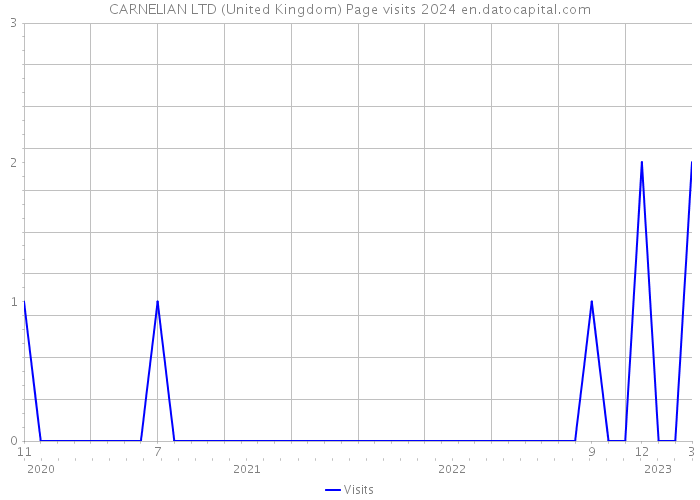 CARNELIAN LTD (United Kingdom) Page visits 2024 