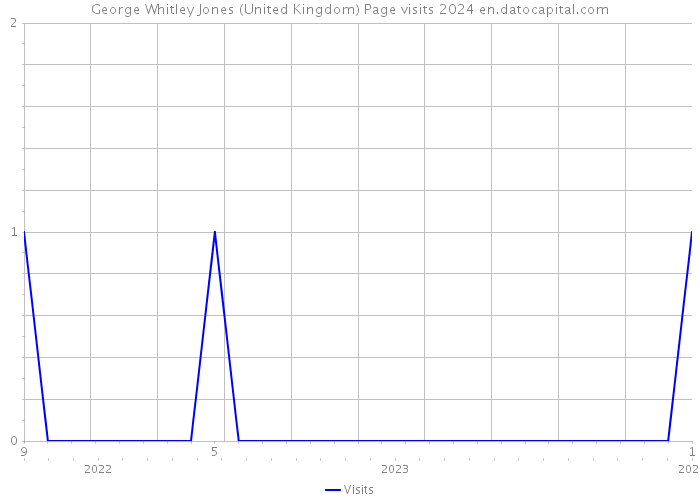 George Whitley Jones (United Kingdom) Page visits 2024 