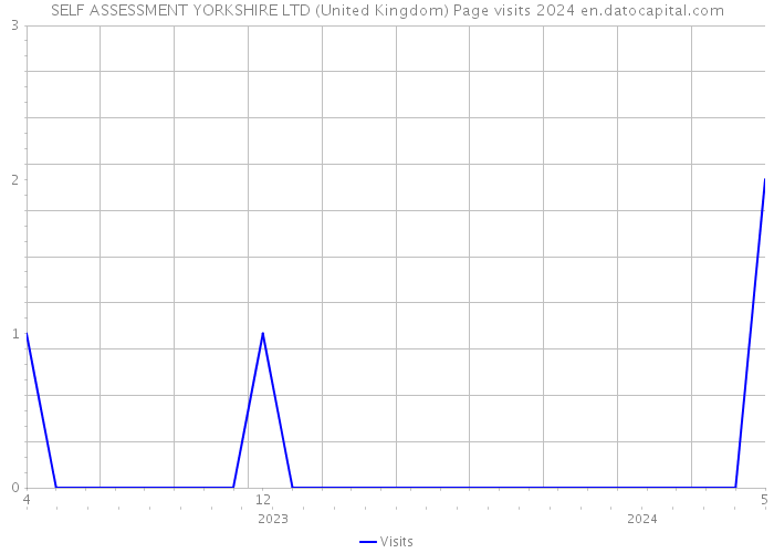 SELF ASSESSMENT YORKSHIRE LTD (United Kingdom) Page visits 2024 
