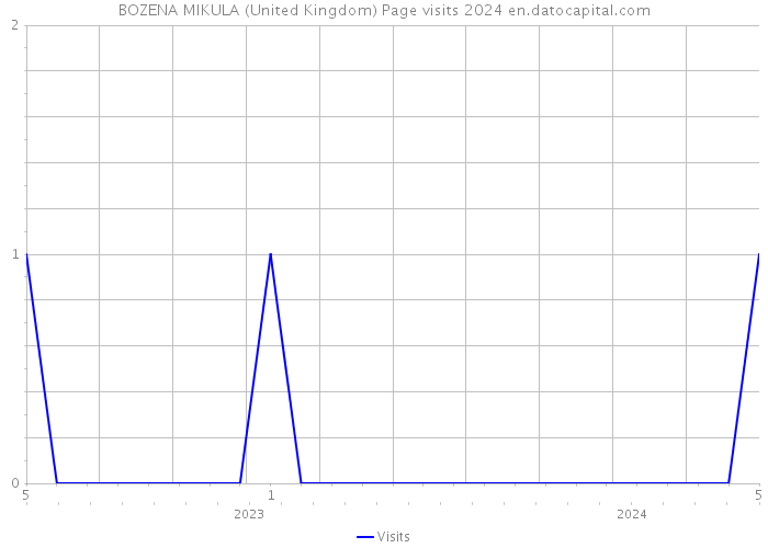 BOZENA MIKULA (United Kingdom) Page visits 2024 
