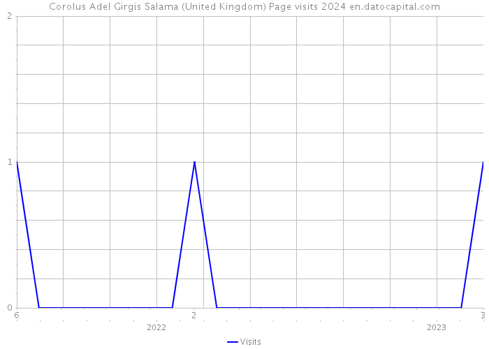 Corolus Adel Girgis Salama (United Kingdom) Page visits 2024 