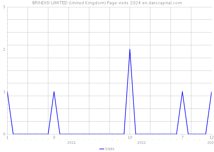 BRINDISI LIMITED (United Kingdom) Page visits 2024 