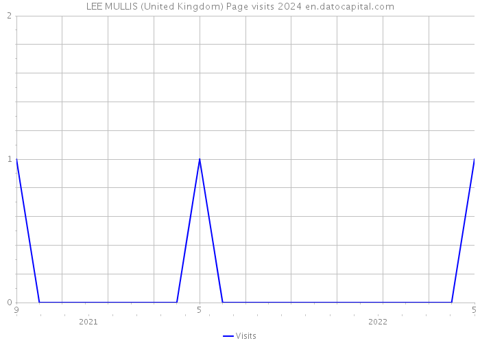 LEE MULLIS (United Kingdom) Page visits 2024 