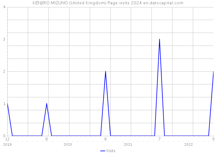 KENJIRO MIZUNO (United Kingdom) Page visits 2024 