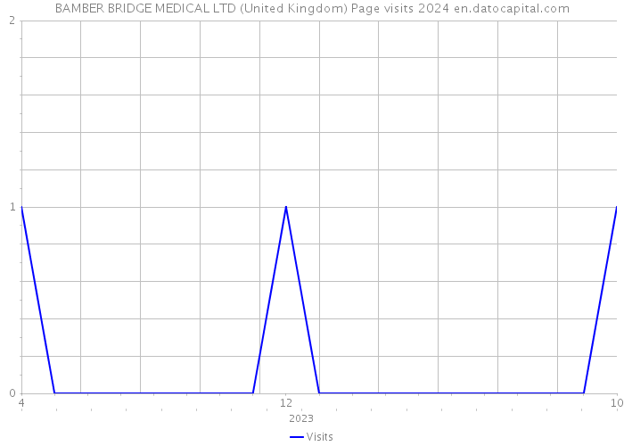 BAMBER BRIDGE MEDICAL LTD (United Kingdom) Page visits 2024 