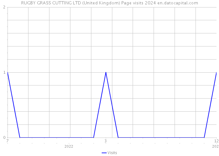 RUGBY GRASS CUTTING LTD (United Kingdom) Page visits 2024 