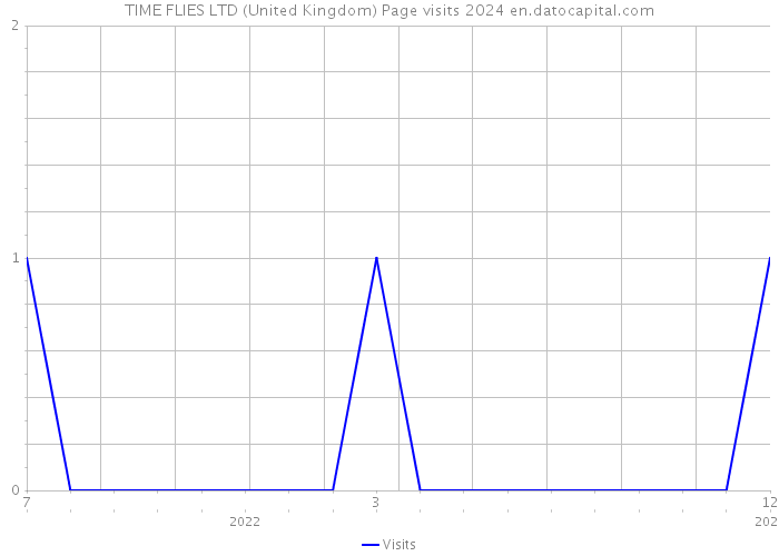 TIME FLIES LTD (United Kingdom) Page visits 2024 
