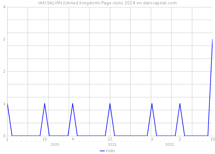 IAN SALVIN (United Kingdom) Page visits 2024 