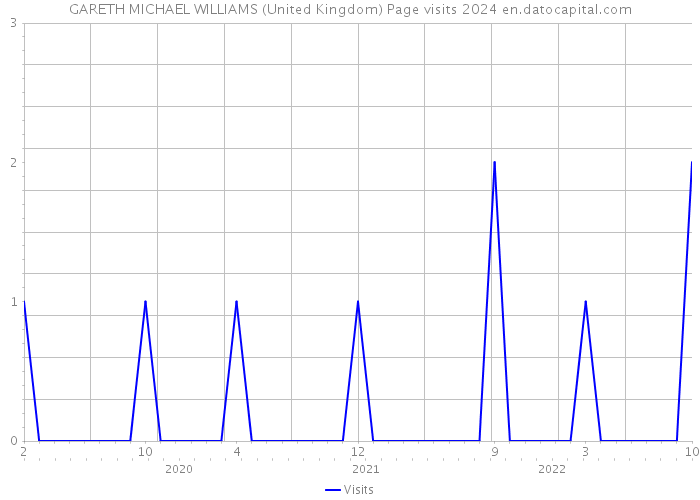 GARETH MICHAEL WILLIAMS (United Kingdom) Page visits 2024 