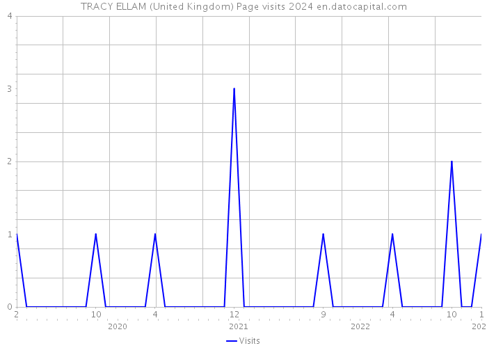 TRACY ELLAM (United Kingdom) Page visits 2024 