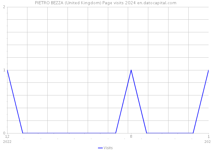 PIETRO BEZZA (United Kingdom) Page visits 2024 